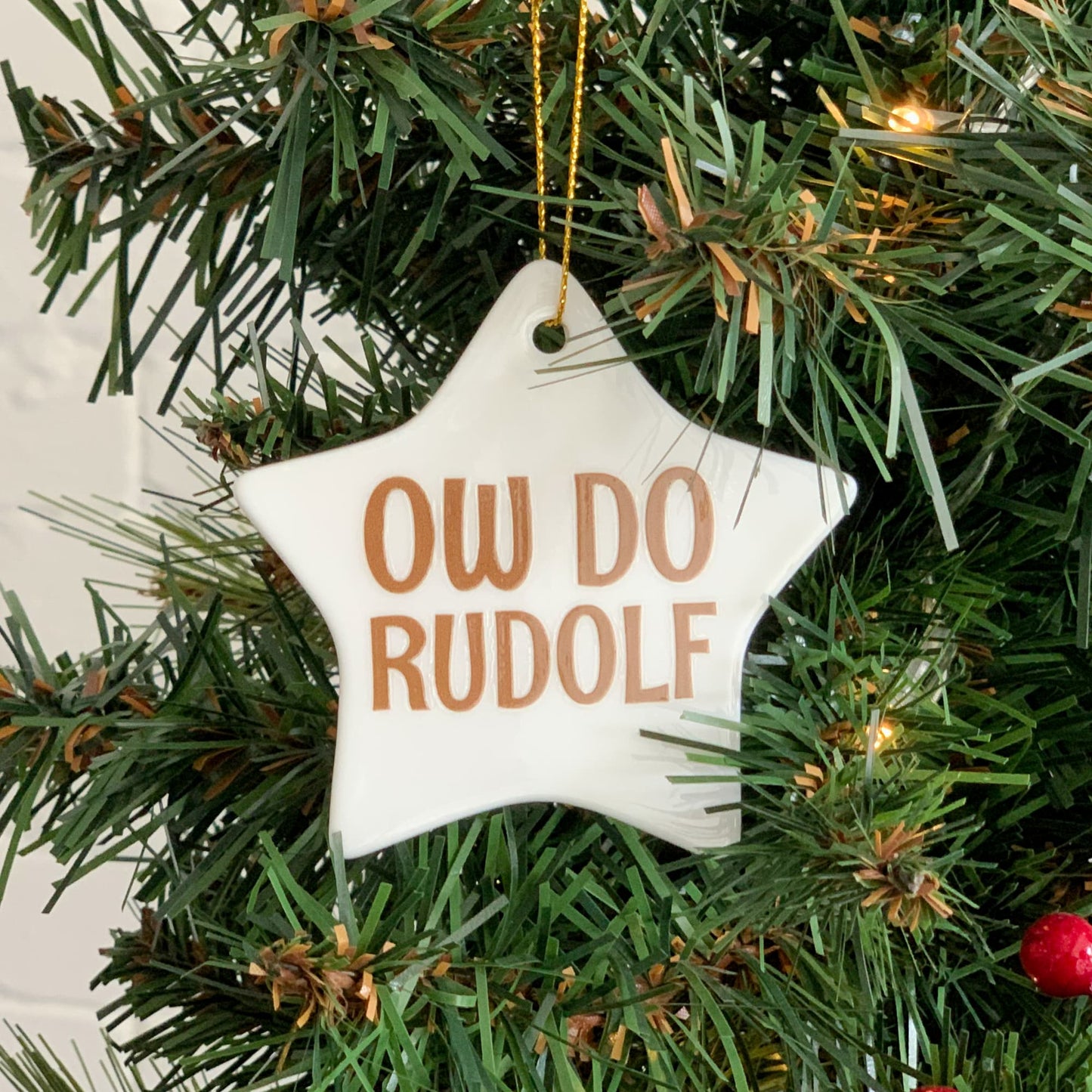'Ow Do Rudolph' Christmas Luxury Ceramic Decoration - The Great Yorkshire Shop