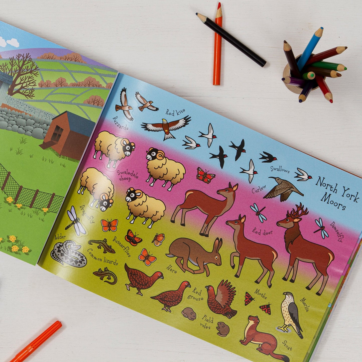 The Yorkshire Sticker Book - The Great Yorkshire Shop