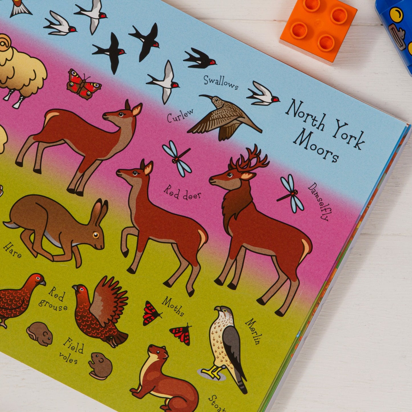 The Yorkshire Sticker Book - The Great Yorkshire Shop