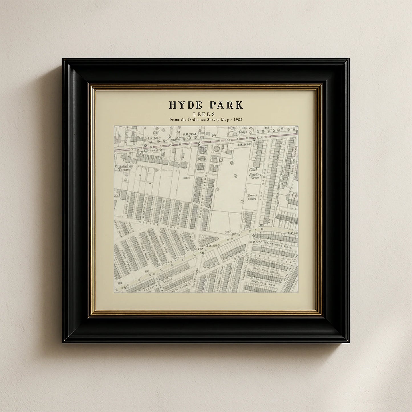 Hyde Park, Leeds Ordnance Survey 1908 Map Card