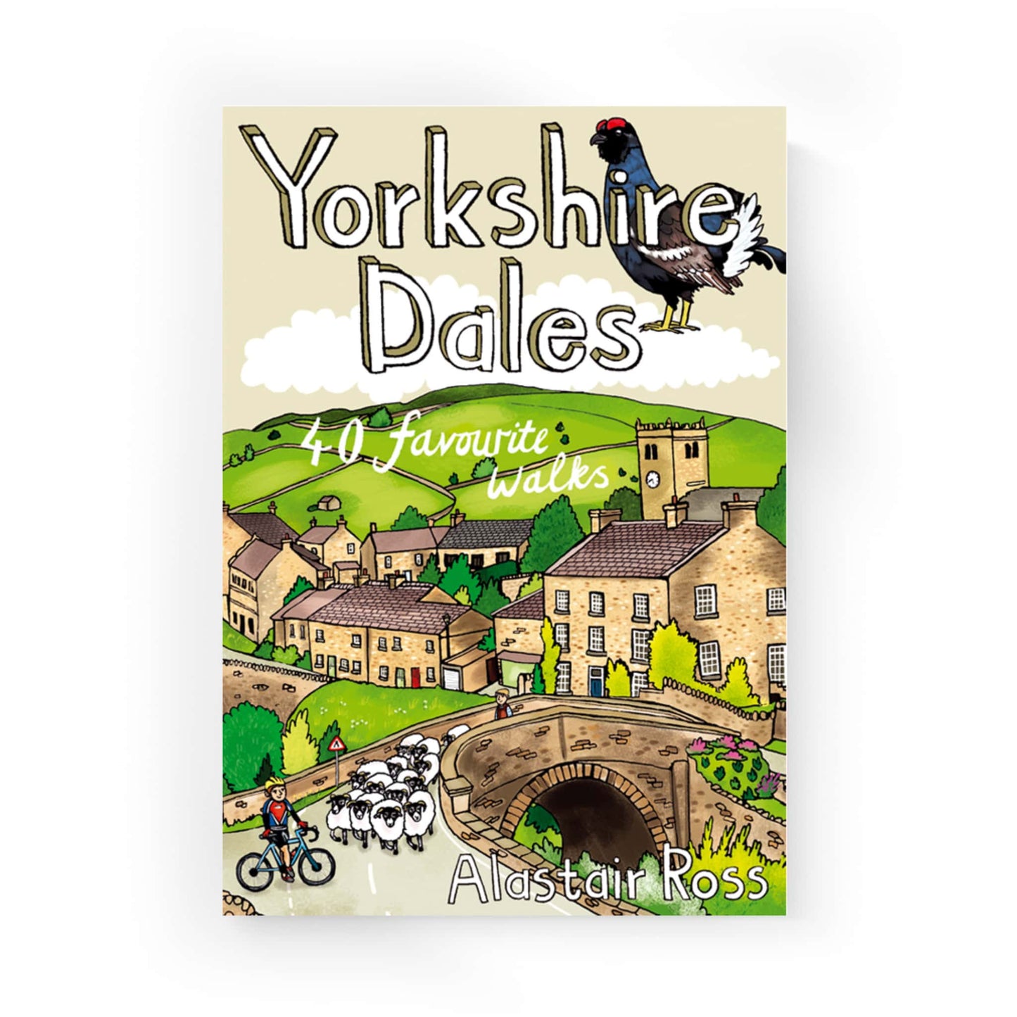 Yorkshire Dales 40 Favourite Walks Book